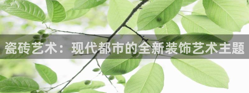金年会体育官网在线