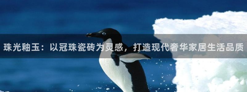金年会安装