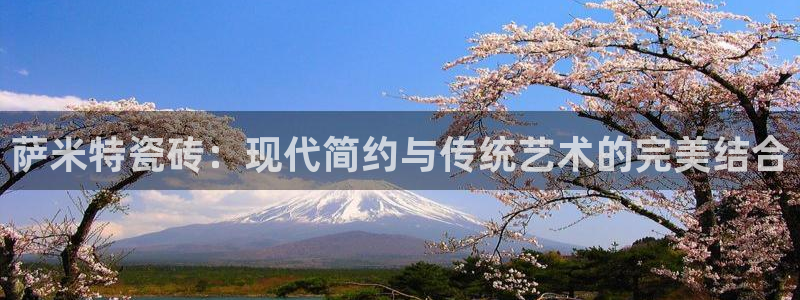 金年会综合APP