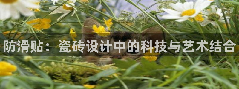 今金年会