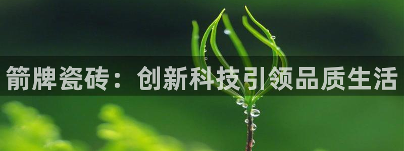 金年会网页版登陆