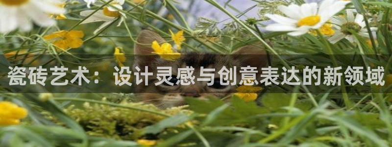年会金句心得
