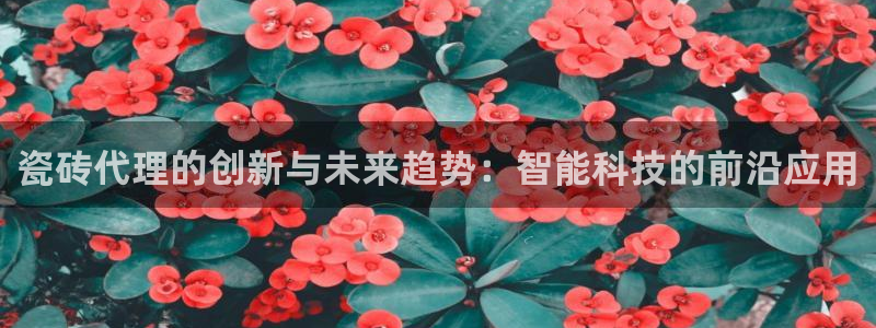 澳门金年会棋牌