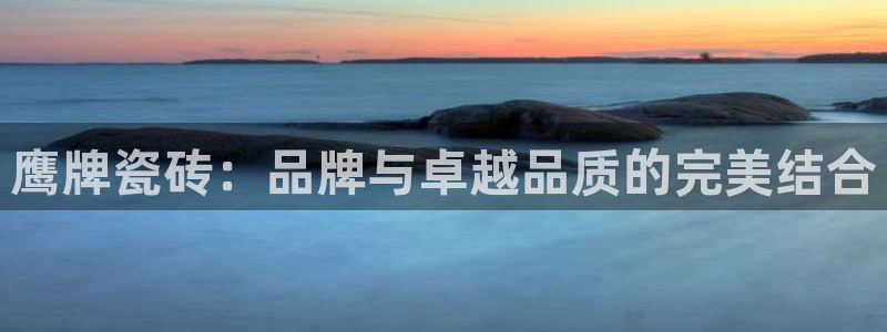 今年会金年会