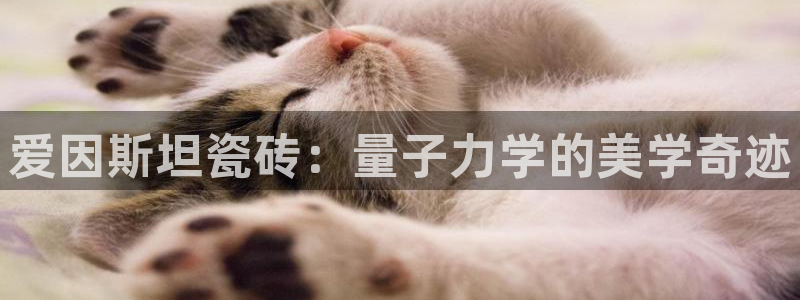 金年会平台登陆
