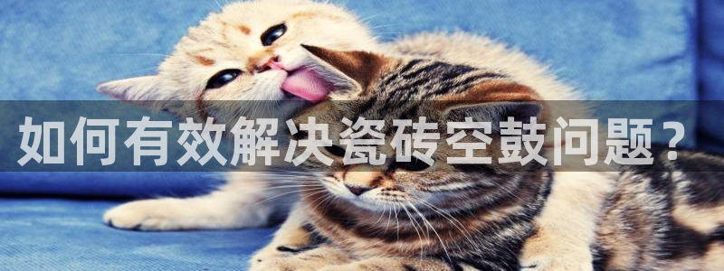 金年会官方网站