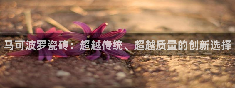 金年会平台包赔