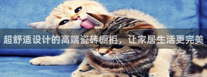 金年会6766001