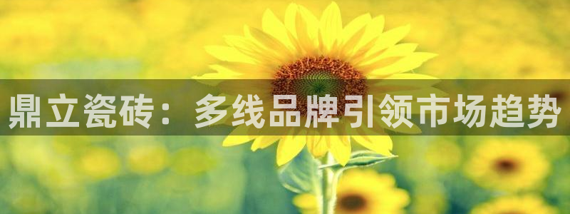 金年会娱乐提现
