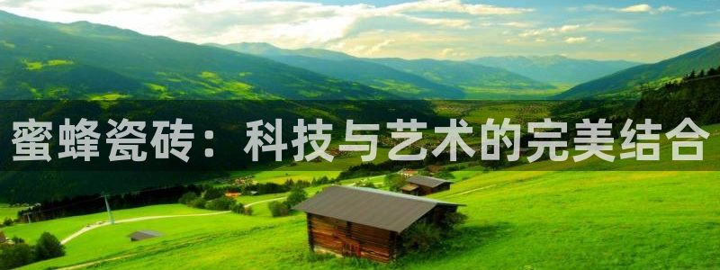 金立年会
