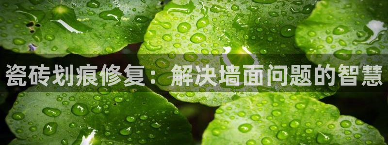 金年会现金网