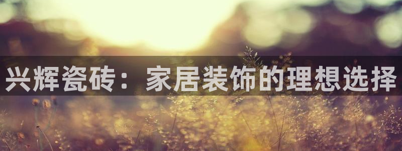 金年会网站