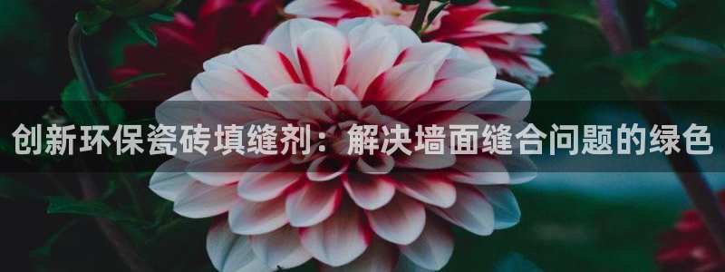 金年会体育官方网站入口