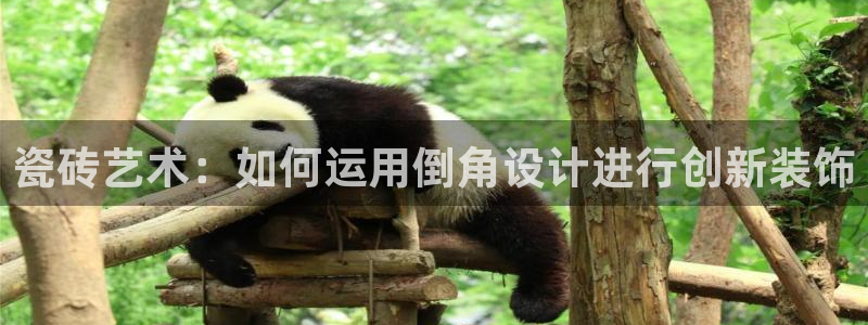 金年会入口