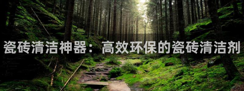 金年会这个平台