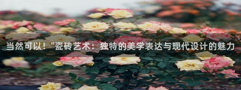 金诺利年会