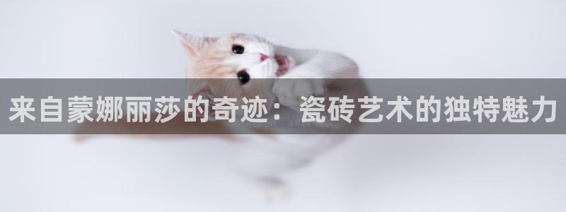 金年会官网入口