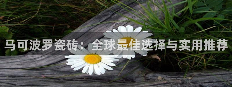 金年会拼音