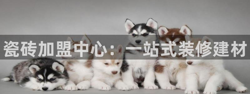 金年会APP安装下载