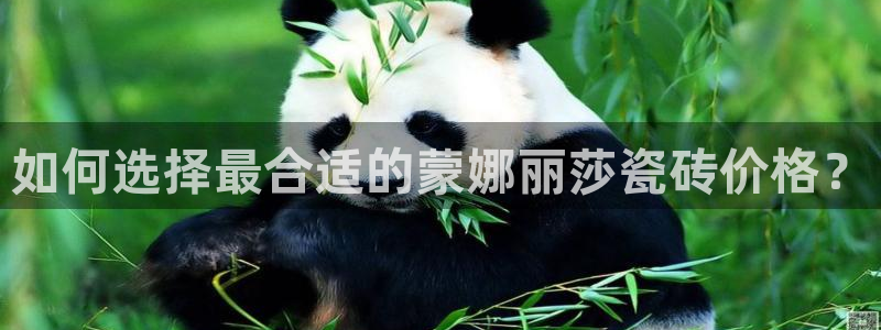 金年会官网地址
