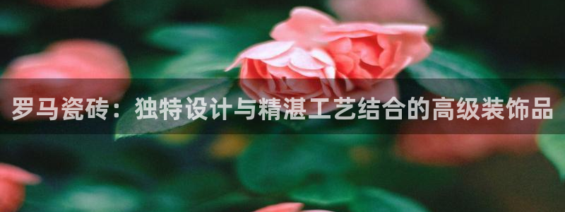 金年会体育官网