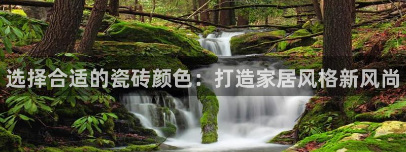 金雅陶瓷年会现场