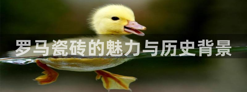 金年会投注官网