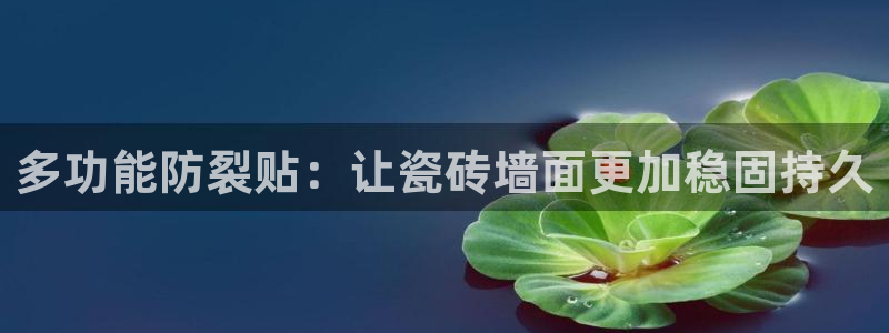 金年会登录入口