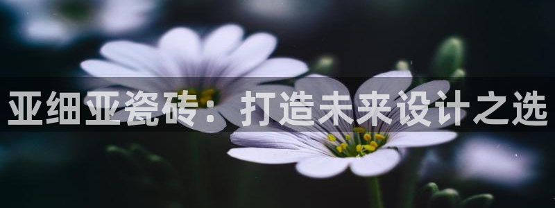 金年会手机网页登录