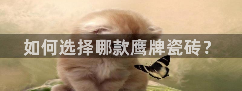 金年会体育金年会官网